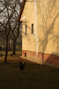 Bubenický a taneční workshop, Považská Teplá